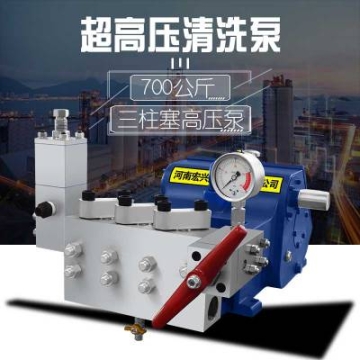 飲料廠食品廠高壓水槍水射流清洗機 綠色環(huán)保耐壓 支持加工定做