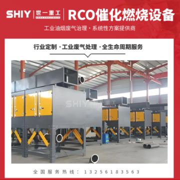 蓄熱式催化氧化(RCO)燃燒設(shè)備 食品加工垃圾焚燒廢氣處理凈化裝置