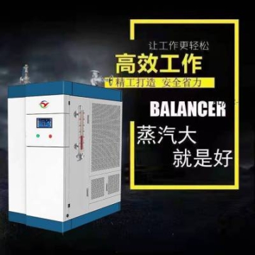 蒸汽發(fā)生器 鑄鋁熱水鍋爐 食品加工用電磁蒸汽設備