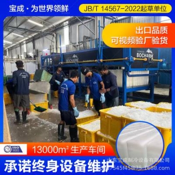 寶成制冷 直冷塊冰機(jī) 食品海鮮加工 制冷保鮮設(shè)備定制工廠