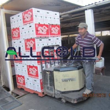 卷心菜真空保鮮預(yù)冷機(jī) 謳科冷鏈 品質(zhì)用心