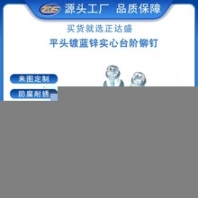 非標(biāo)定制碳鋼鍍藍(lán)鋅平頭實(shí)心臺(tái)階家具鉚釘承接鉚釘離合器片鉚釘