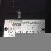 KOBOLD科寶齒輪流量計DZR-1003S10FSV成交南京客戶