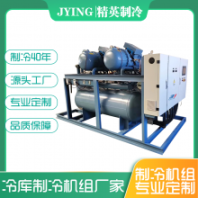 專業(yè)定制制冷機(jī)組冷庫(kù)壓縮機(jī)制冷螺桿并聯(lián)機(jī)各類型冷藏庫(kù)制冷設(shè)備