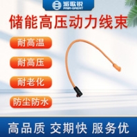 高壓儲(chǔ)能柜動(dòng)力線束電池高壓線束耐油耐高溫