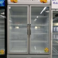 批發(fā)立式保鮮柜 商用單門(mén)雙門(mén)三門(mén)啤酒柜 商超飲料冷藏設(shè)備 商用制冷設(shè)備 量大優(yōu)惠