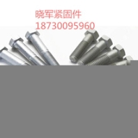 廠家直銷(xiāo)國(guó)標(biāo)螺栓螺母/高強(qiáng)度螺栓螺母/地腳螺栓/異型螺栓