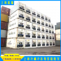 冷凍集裝箱 專業(yè)集裝箱租賃公司 冷藏冷凍保鮮均可全國發(fā)貨