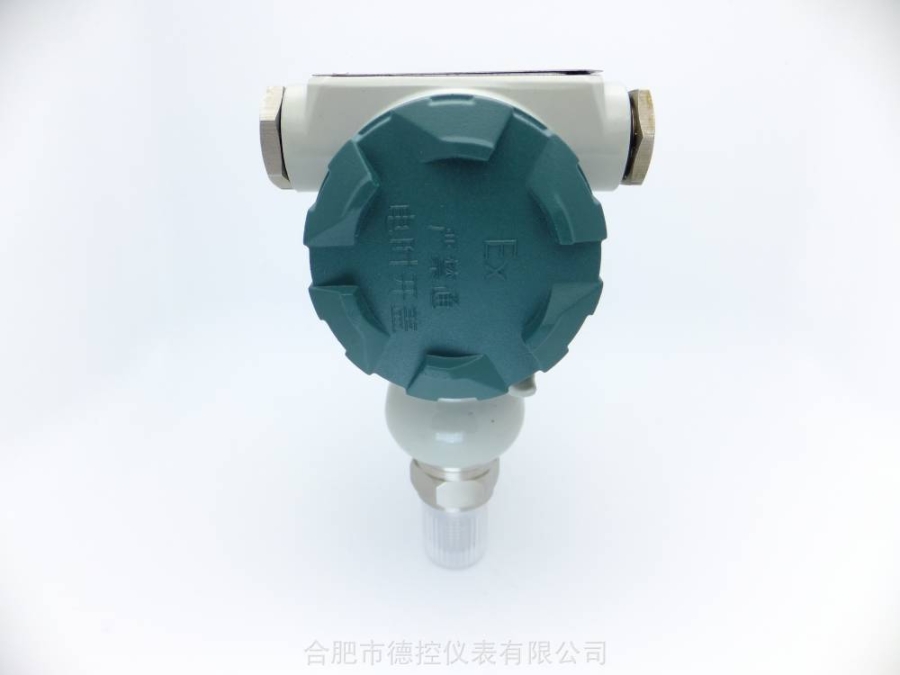 CS20FB-E壓力變送器