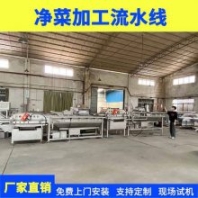 廣州九盈凈菜加工流水線 果蔬加工設(shè)備 學(xué)校食堂蔬菜清洗流水線 支持定制