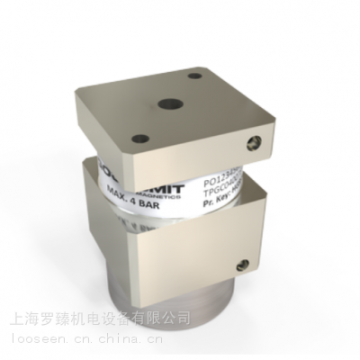 荷蘭永磁體TPGC100078 GOUNDSMIT 供應(yīng)