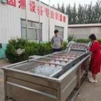不銹鋼果蔬凈菜加工設(shè)備 全自動海鮮噴淋式清洗流水線