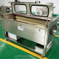 廠家生產(chǎn)球莖類果蔬清洗機(jī) 球莖類果蔬加工設(shè)備 球莖類果蔬清洗機(jī)生產(chǎn)線