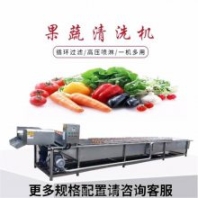 果蔬氣泡清洗機 全自動洗菜機 凈菜分切清洗風(fēng)干線 清洗干凈高效
