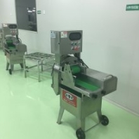 葉類切菜機凈菜加工設(shè)備果蔬加工設(shè)備蔬菜半成品加工配送切片切段