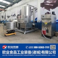果蔬脆加工設備 火龍果真空油炸機 大小型可定做 低溫真空脫水設備