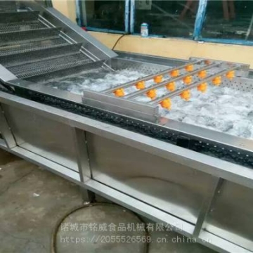 山野菜清洗機(jī) 山野菜加工設(shè)備廠家