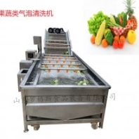 供應(yīng)果蔬氣泡清洗機 氣泡鼓浪清洗設(shè)備 洗菜機
