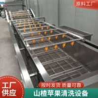 氣泡清洗機 全自動蔬菜高壓噴淋清洗設(shè)備 多功能果蔬凈菜加工設(shè)備