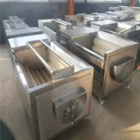氣泡清洗機廠家 萵苣凈菜加工設(shè)備 核桃毛刷清洗機