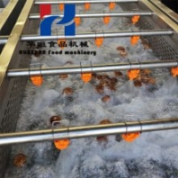 華晅機(jī)械 氣泡式水果蔬菜清洗機(jī) 凈菜加工設(shè)備 辣椒、荷蘭豆清洗機(jī)