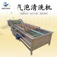 商用蔬菜氣泡清洗機 全自動果蔬清洗風干流水線 凈菜加工設備