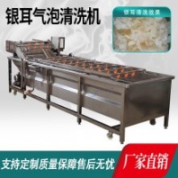 本草銀耳白木耳清洗流水線 果蔬清洗加工流水設(shè)備
