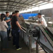 根莖類蔬菜清洗機/蔬菜清洗加工設備/廠家直銷/型號齊全/支持加工定制/節(jié)能環(huán)保