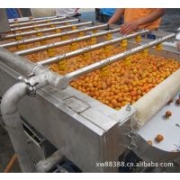 供應全新蔬菜瓜果氣泡清洗機 果蔬加工設備 高效節(jié)能