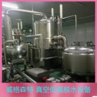 果蔬脆片加工設備 水果真空油炸機 香蕉脆真空低溫油炸機