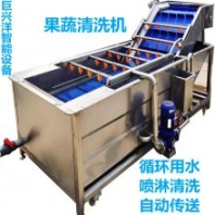 廠家直銷多功能藍莓氣泡清洗機大型龍眼清洗流水線不銹鋼凈菜加工設備