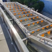 果蔬加工設(shè)備蔬菜清洗機(jī)氣泡清洗機(jī)