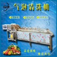果蔬高壓氣泡噴淋清洗機(jī) 多功能凈菜清洗加工設(shè)備 中草藥清洗設(shè)備