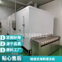 全自動(dòng)秋葵速凍機(jī) 30型 果蔬加工廠設(shè)備 食品級(jí)不銹鋼