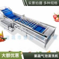 楊梅氣泡清洗機 西紅柿清洗流水線 農(nóng)產(chǎn)品清洗設(shè)備 凈菜加工