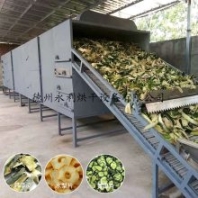 冬瓜皮烘干機(jī) 多層熱風(fēng)果蔬烘干機(jī) 中藥材干燥線-烘干設(shè)備定制加工