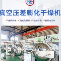 農(nóng)副產(chǎn)品加工 蔬菜水果深加工設(shè)備 寧興水果脆片膨化設(shè)備