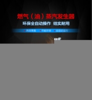 食品加工用燃氣蒸汽發(fā)生器采購品牌燃氣蒸汽發(fā)生器價格