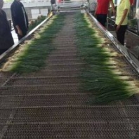 果蔬氣泡清洗機(jī) 豆芽甘藍(lán)菜清洗加工流水線 蘋果土豆蔬菜清洗設(shè)備