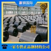 供應(yīng)高硬度特鋼 T10AT10合金工具鋼 精準(zhǔn)復(fù)尺加工 適用電力設(shè)備