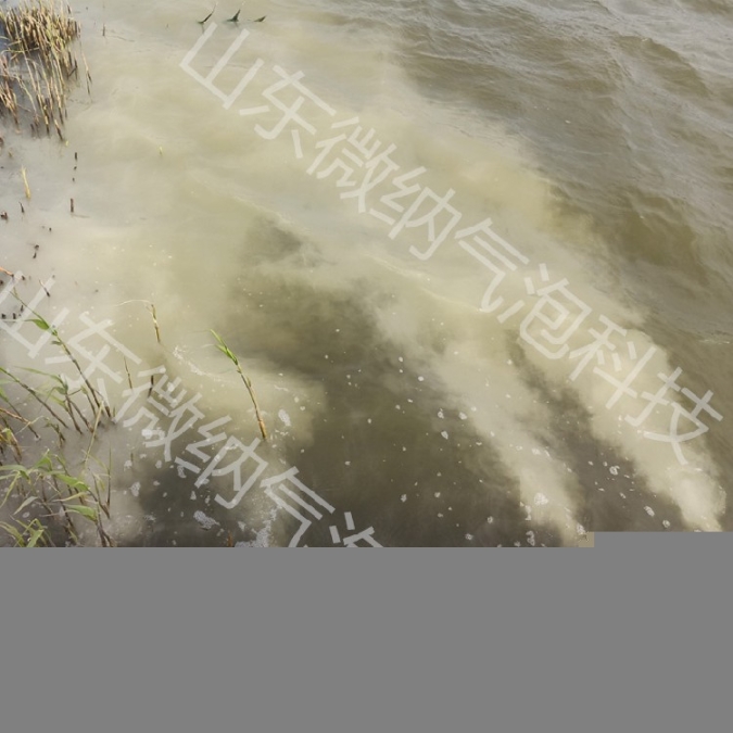 寶山銷(xiāo)售微納米曝氣機(jī),微納米氣泡曝氣機(jī)