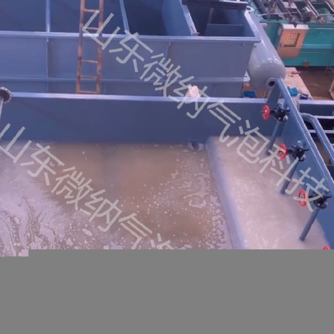 秦皇島工業(yè)微納米曝氣機(jī)