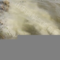 呼倫貝爾國(guó)產(chǎn)微納米曝氣機(jī)