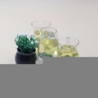 沂源縣鄉(xiāng)鎮(zhèn)小項目植物油燃料配方材質(zhì)