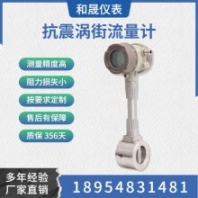抗震動(dòng)干擾流量計(jì) 分體式/夾持式/管道式 和晟測(cè)控
