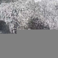 鑄造用碳化硅