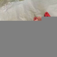 德州塑鋼帶打包鉗廠家