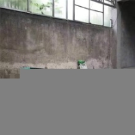 傾斜蛟龍上料機(jī)車載自吸蛟龍送料機(jī)315大管徑蛟龍玉米抽糧機(jī)