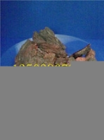 景觀松樹皮規(guī)格景觀松樹皮廠家