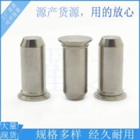 建筑工程鋁網(wǎng)絡(luò)信號保護器外殼板用配件導(dǎo)向銷 鋁專用配件銷釘